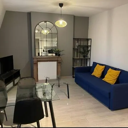 Lägenhet 3 Pieces En Centre-ville Avec Internet Inclus - Fr-1-870-3