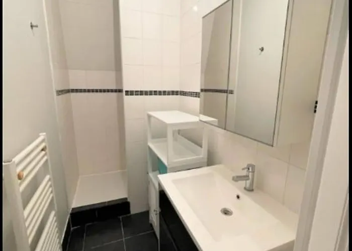 3 Pieces En Centre-ville Avec Internet Inclus - Fr-1-870-3 Reims