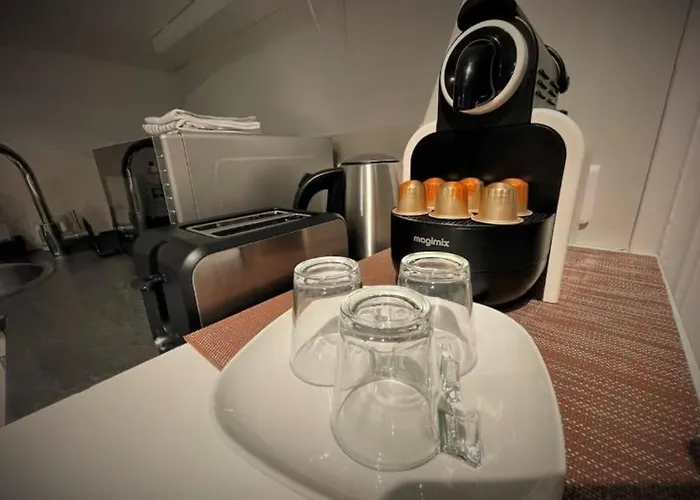 3 Pieces En Centre-ville Avec Internet Inclus - Fr-1-870-3